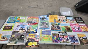 Lot of 25 Childrens Books