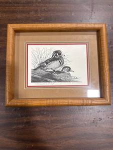 Framed Wood Duck Print