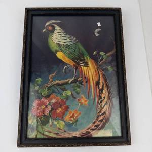Vintage Carlo Tropical Pheasant Framed Print