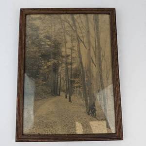Framed Forest Landscape Print