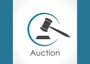 AUCTION DETAILS