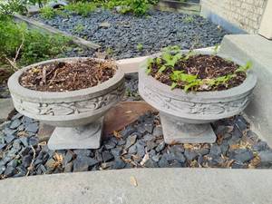 Pair of Cement Pedestal Planters  Saturday Pick Up in Plymouth - See Removal Tab for Specifics