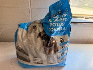 20lb Damaged Bag Kirkland Dog Food-Not Sure how much weight now