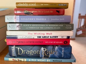 Assorted Books Mixed Lot