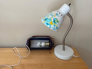 Desk Lamp & Light Fixture Mixed Lot (Lot of 2)