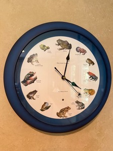Discovery Channel New World Frogs Wall Clock