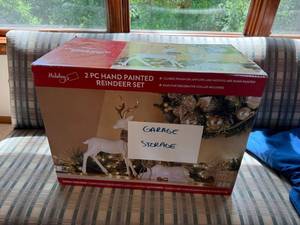 Holiday 2 Pc Hand Painted Reindeer Set White Gold Boxed Decor