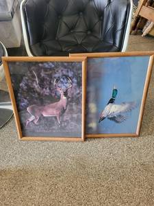 Framed Wildlife Print Pair Mixed Lot