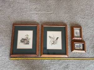 Set of 4 Framed Signed Duck Prints Mallard Teal Wood Duck Pintail Oak Frames