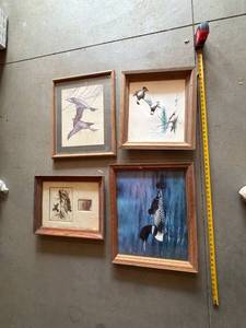 Vintage Framed Wildlife Art Prints - Set of 4 Duck Loon Turkey