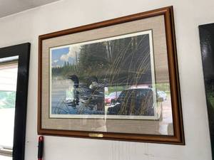 Michael Sieve Northern Song Common Loon Framed Print 243950