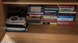 Lot of Assorted Vintage & Modern Books Fiction Reference Self-Help