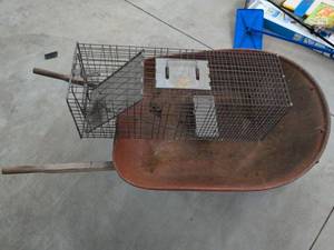 Havahart Live Animal Trap & Vintage Steel Wheelbarrow Farm Garden Lot