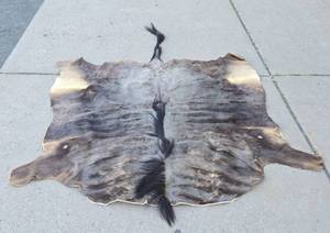 Genuine Animal Hide Rug