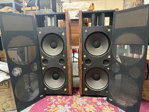 Very Cool LARGE Working Vintage ESS AMT Rock Monitor Speakers wGauss Upgrade