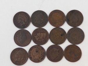 12 mixed date Indian Head Cents