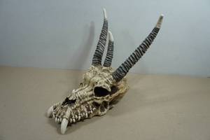 Resin 3 Horn Skull Prop