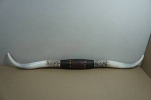 41 Resin Longhorns