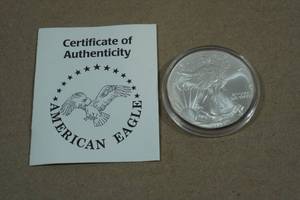 2004 US Silver Eagle Dollar Coin - 1 Troy Ounce