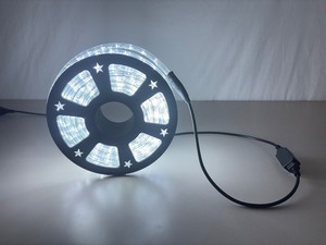 WORKING 100ft LED Rope Light on Spool