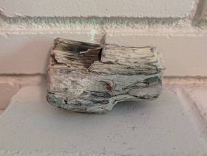 Petrified Wood Specimen 200g