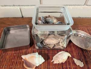 Assorted Seashell Collection in Glass Jar With Tin Trays