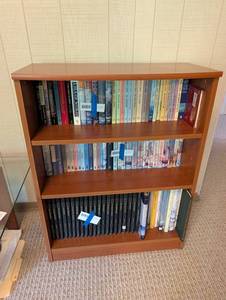 Wood-Finish Bookcase (Not Books)