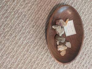 Fossil Cave Bear Tooth & Mixed Fossil Specimens in Wooden Tray