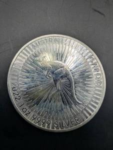 2022 Kangaroo 1 Dollar 9999 Silver Coin
