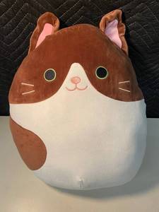 C4 - Squishmallows Glaudini Cat Plush Pillow