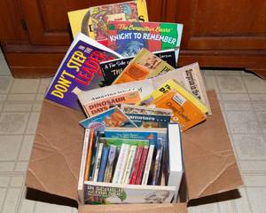 Childrens Books Lot  Berenstain Bears, Dinosaurs & More (Vintage Assortment)