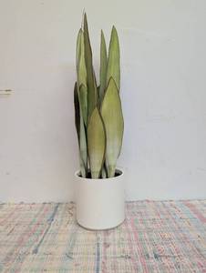 Large Artificial Snake Plant - Threshold 21 Faux Flora in Stoneware Pot for Indoor Decor