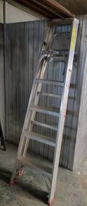 Werner 6 ft. Ladder Model 366-5