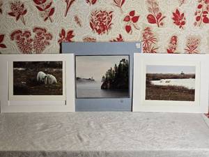 SIGNED Breathtaking Naturalist Fine Art Photography Series - Polar Bears  Split Rock Lighthouse