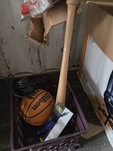 Wilson Basketball, Generic Wooden Baseball Bat, and Athletic Works Air Pump