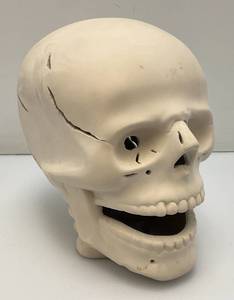 Large Vintage Ceramic Skull 6 x 8 x 9
