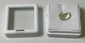 38 Oval Citrine In Protective Case