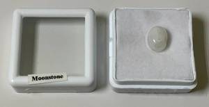 38 Oval Moonstone In Protective Case