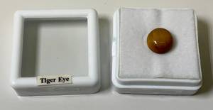 38 Round Tiger Eye In Protective Case