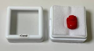 38 Coral In Protective Case