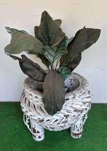 FP - Vintage Woven White Planter with Faux Greenery