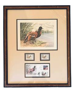 DR - Limited Edition New Zealand Duck Stamp Print with Stamps and Envelope