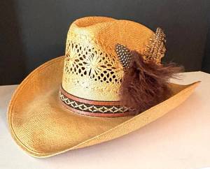 BR1 - Stetson Roadrunner Bryantcote Hat - Size 7 38