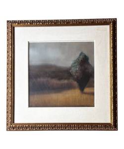 D - Carol Anthony Signed Framed Print