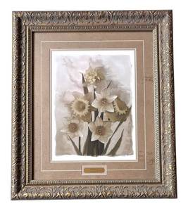 DR - Richard Sutton Daffodils II Framed Print