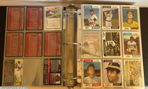 Den - Vintage Baseball Cards Mixed Lot Binder