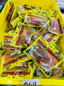 Bait Shop LOT - 50 pkgs - MIMIC MINNOW TAILS