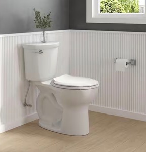 Cadet 12 in. Antimicrobial 2-Piece 1.28 GPF Single Flush Chair Height Round Toilet with Slow Close Seat in White