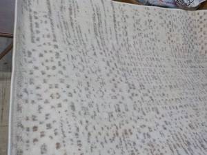 Target Accent Rug 30 x 44...