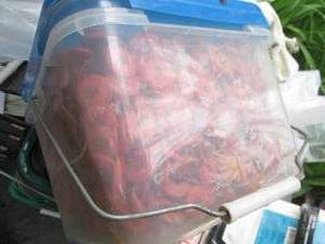 Bucket of plastic cap roofing nails...